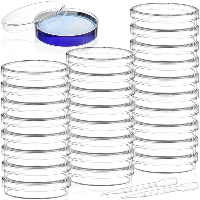 100 Pack Plastic Petri Dishes With Lids 60Mm Dia X 15Mm Deep Sterile Clear