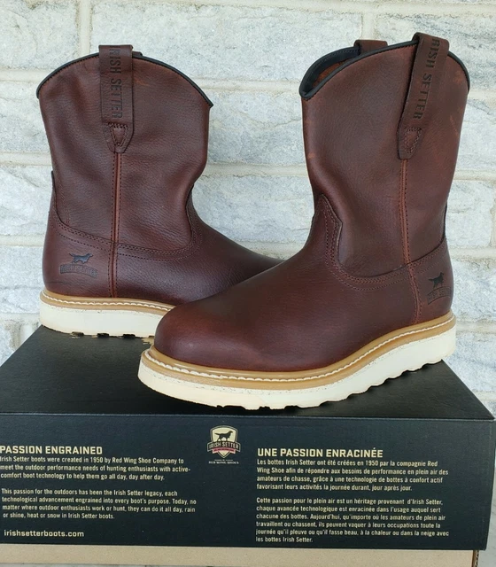 Irish setter 83909 sales