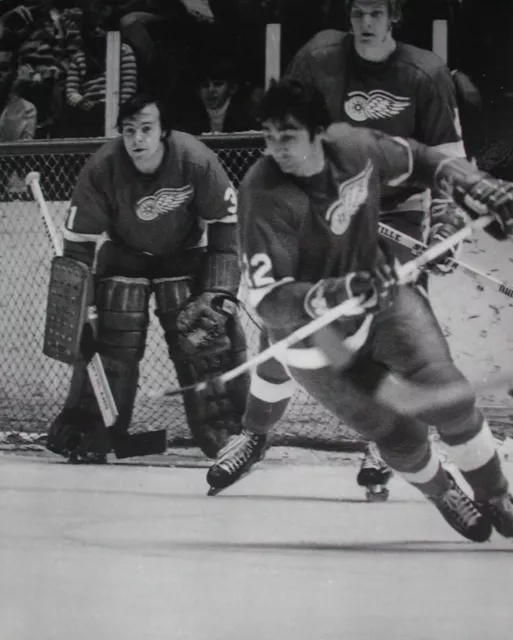 Nhl Hockey Photo Print Bill Collins Doug Grant Detroit Red Wings