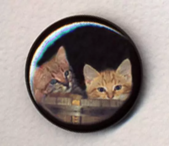 MIGHTY BOOSH KITTENS badge button pin - SO CUTE !