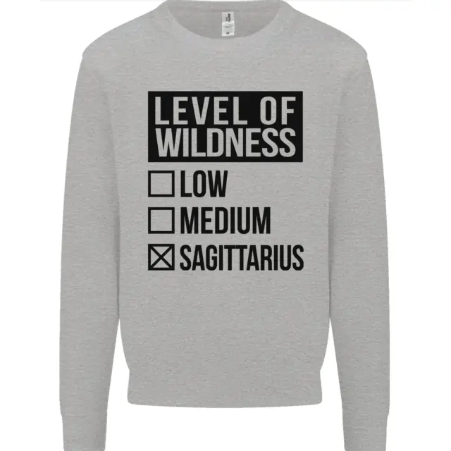 Levels of Wildness Sagittarius Mens Sweatshirt Jumper