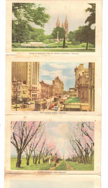 Views of Adelaide, S.A. c1950's Fold out pictures (12 pictures) - No Cover