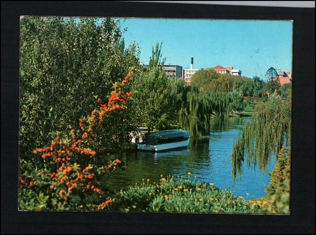 A1116 Australia SA Adelaide River Torrens Popeye Boat PU c1974 postcard