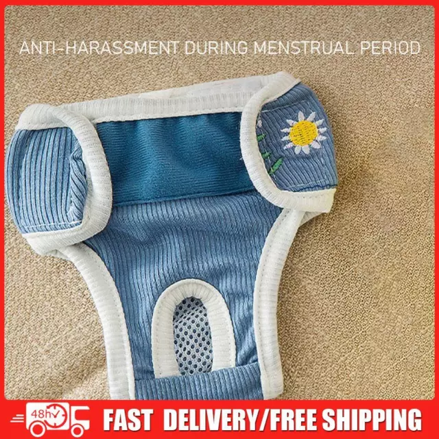 Dog Diaper Physiological Pants Sanitary Female Dog Underwear (Blue M)