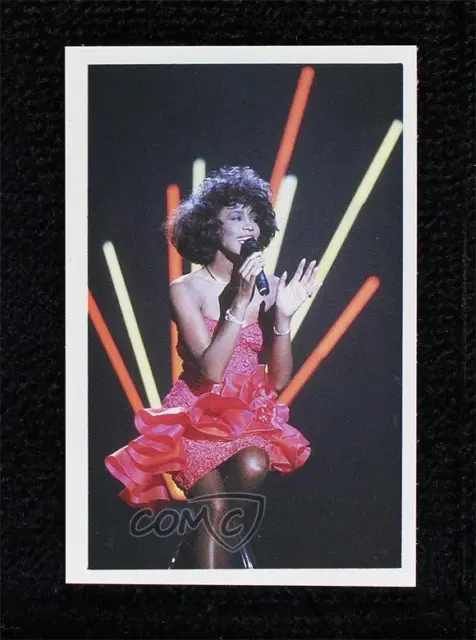 1987 Diphold Limited Fanz Album Stickers Whitney Houston #96 0a4f