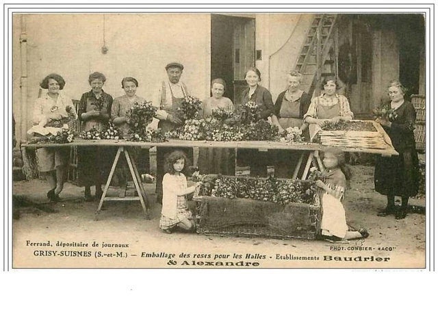 Carte Postale Ancienne CPA 77 GRISY SUISNES – Culture De Rosiers Et Emballage De Roses 1900