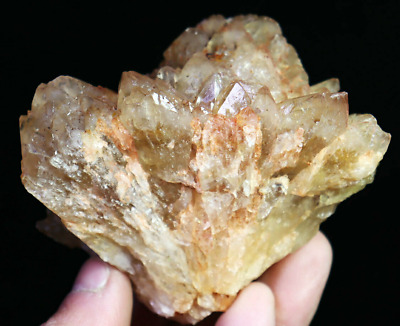 349g Natural Beautiful Citrine Quartz Crystal Cluster POINT Mineral Specimen