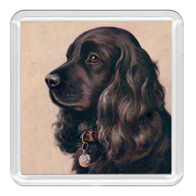 Cocker Spaniel Head Study Dog Acrylic Coaster Novelty Drink Cup Mat Great Gift