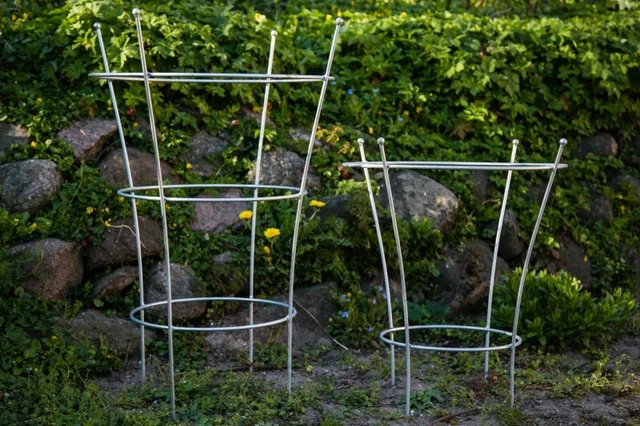 2er Set Staudenhalter Verzinkt Höhe: 60/85cm Strauchhalter Rankgerüst