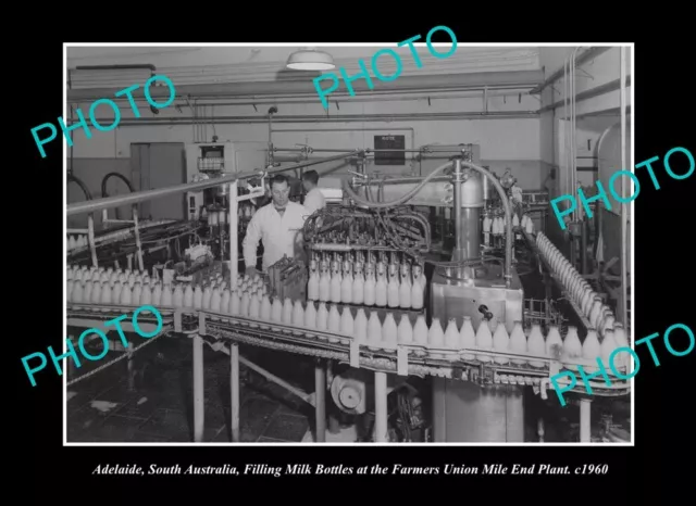 OLD POSTCARD SIZE PHOTO ADELAIDE SA, THE FARMERS UNION MILK PLANT c1960