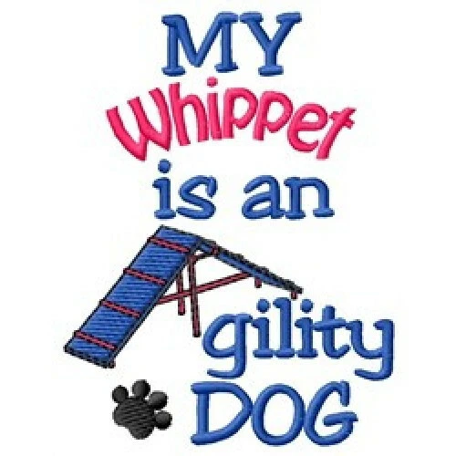 My Whippet is An Agility Dog Ladies T-Shirt DC1834L Size S - XXL