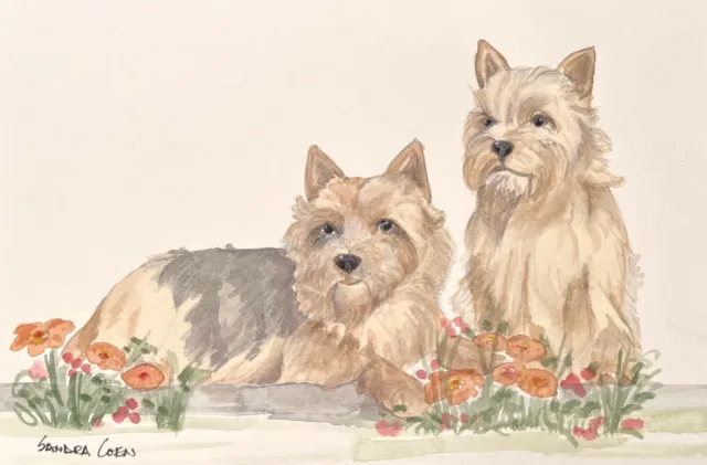 Norwich Terrier Pair  Original Watercolor by Sandra Coen