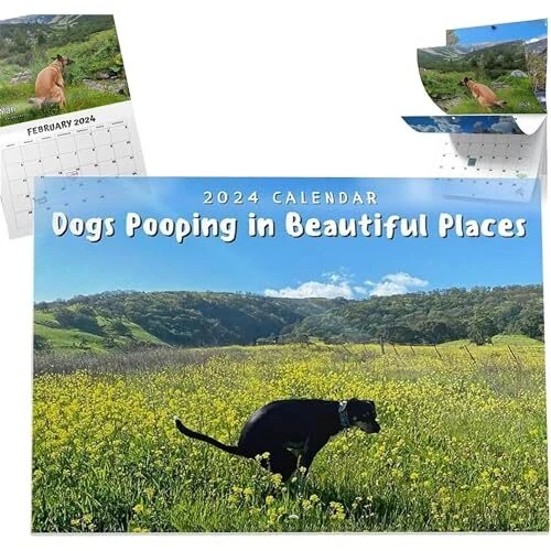2024 DOGS POOPING in Beautiful Places Wall Calendar 11x8.5 inches