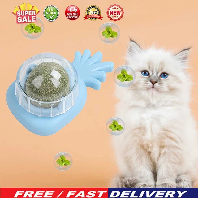 Piña hierba gatera bola clickable juguete interactivo menta gato para mascotas