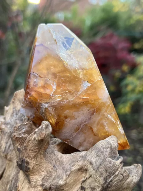 Golden Healer Quartz Freeform AAA+ 258g 29 2