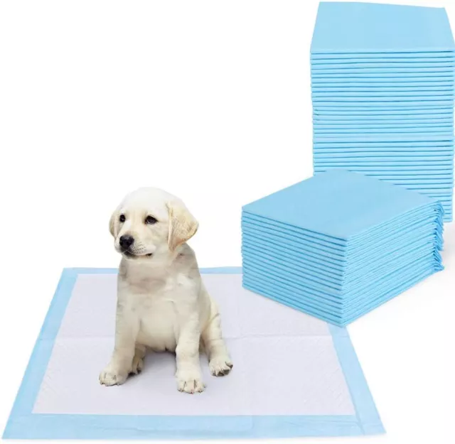 40 Unidades Almohadillas de Entrenamiento Perros Súper Absorbentes, Empapadores