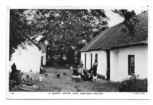 Postcard RPPC UK Northern Ireland A County Antrim Farm people Tuck posted 1955