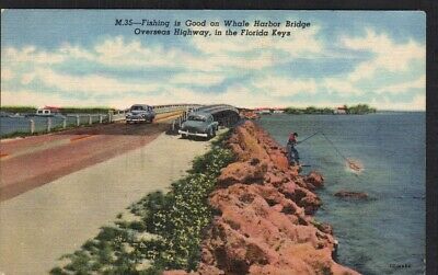 Islamorada FL Postcard Man Fishing Near Whale Harbor Bridge Linen Posted 1958