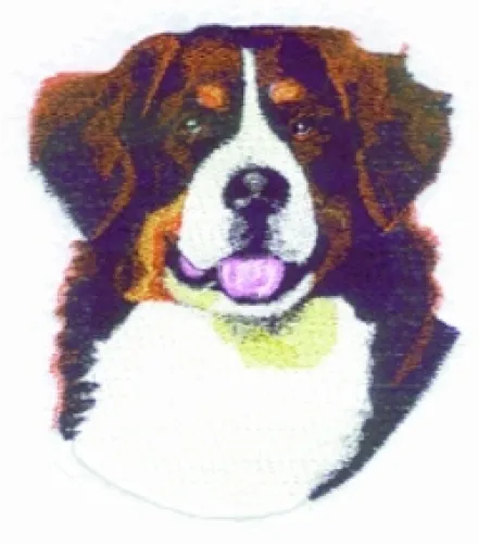 Embroidered Sweatshirt - Bernese Mountain Dog BT3514 Sizes S - XXL