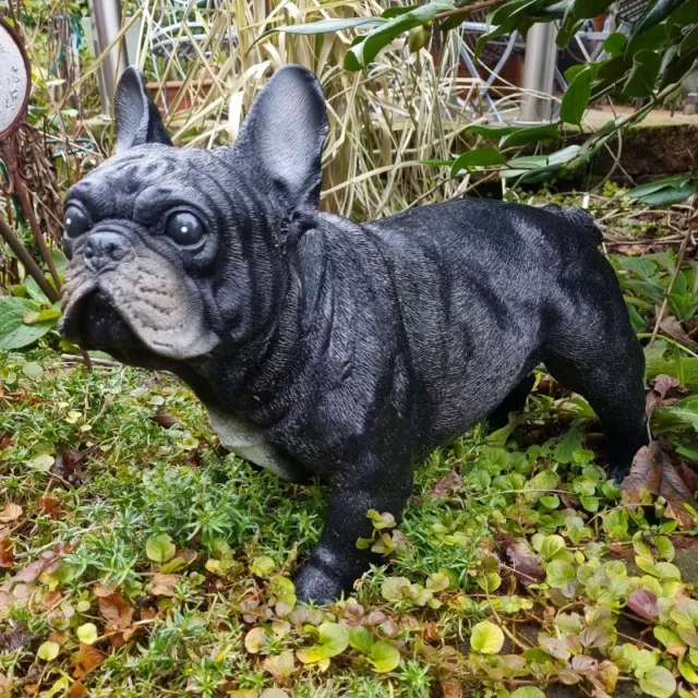 Gartenfigur Französische Bulldogge Welpen Figur 3er Set 13 cm