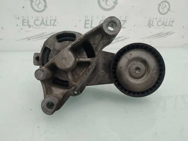 galet tendeur pour VOLKSWAGEN PASSAT BERLINA (3C2) ADVANCE 03.05 - 12.09 265947
