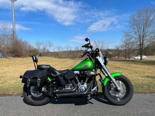 2015 Harley-Davidson Softail 2015 Harley-Davidson Softail Slim FLS