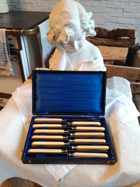 Coffret De 12 Couteaux De Table Apollo – Acier Inoxydable, Occasion