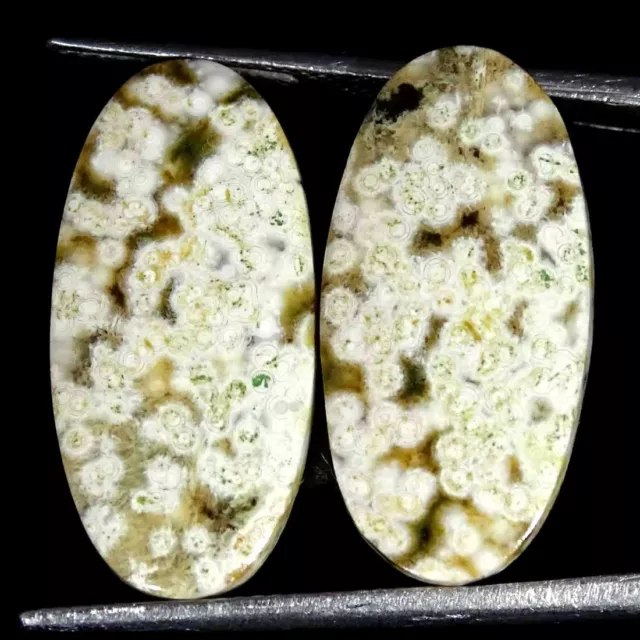 16.60Cts Natural Ocean Jasper Oval Pair Cabochon loose Gemstone