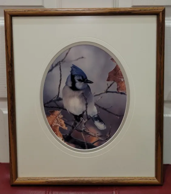 Carl R. Sams Blue Jay Bird Photography Signed Matted And Framed 15x13 Inches