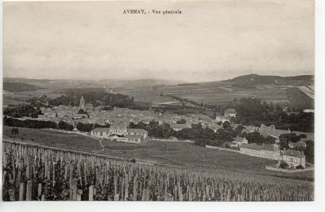 AVENAY - Marne - CPA 51 - vue generale dans les vignes