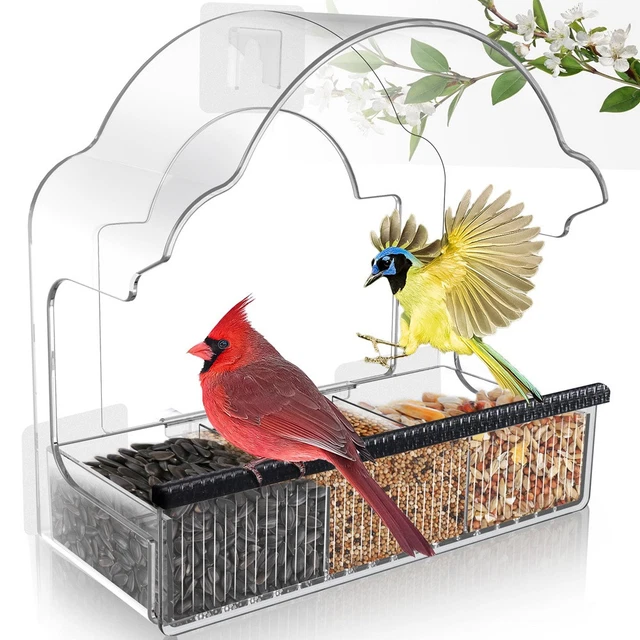 Hisdricus Mangeoire transparente pour oiseaux, avec 4 ventouses, grande fenêtre, 21,5 x 20,5 x 10 cm Hisdricus Mangeoire transparente pour oiseaux, avec 4 ventouses, grande fenêtre, 21,5 x 20,5 x 10 cm