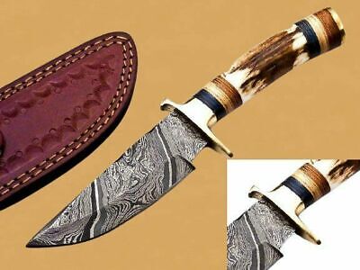 6" Custom Hand Made Forged Damascus Steel Hunting Bowie Knife handle Deer antler