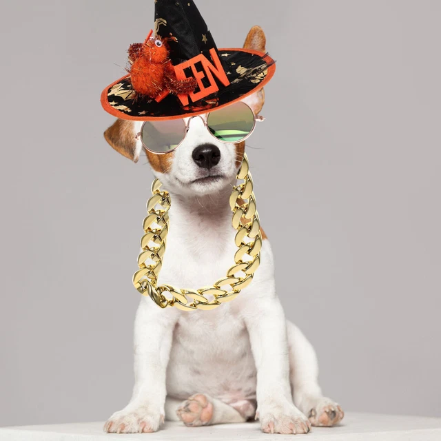 1 Set Halloween Haustierkostüm Lustige Haustierkostüm Katzenhund Cosplay 9