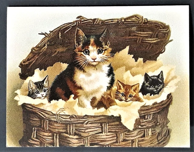 NEW Vntg Style Thank You Note w Envelope  MOTHER CAT KITTENS IN BASKET  Mfr USA