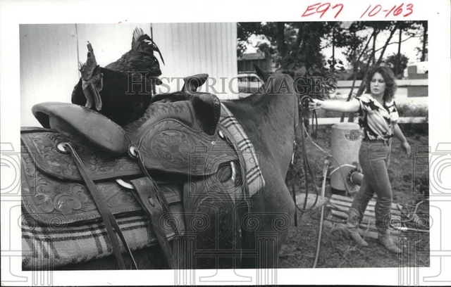 1982 Press Photo Rooster rides horse at Animal Rescue League, Houston