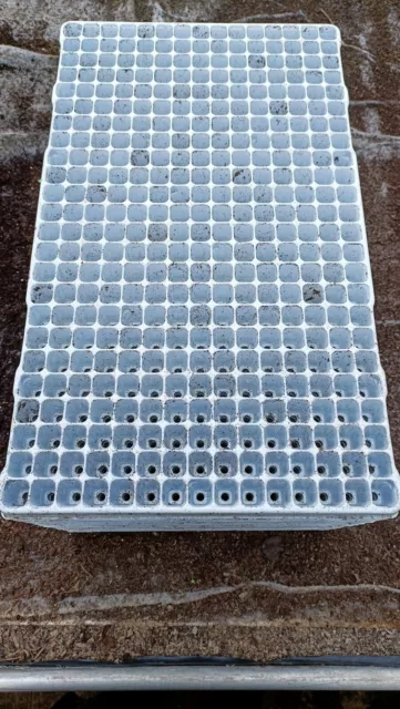 12 Trays With 350 Cell seed trays, Professional Quality
