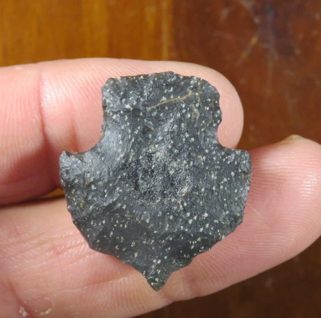 Colorful black rhyolite Archaic Big Creek point, southeast Missouri 1.1/4 in.