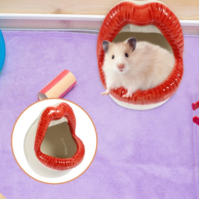 Hamster Nest Aus Keramik Spielzeug Für Meerschweinchen Bett