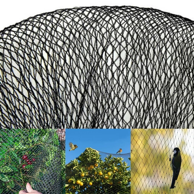 Filet Anti-Insectes Pour Jardin, Potagers Barrière Anti-Insectes En Maille De 0,8 Mm, Filet Anti-Insectes Pour Plantes, Fleurs, Cultures Et Fruits,2.5X10M