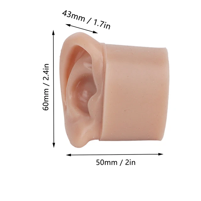 Pantallas de orejas modelo 3 pares modelo de oreja de silicona suave realista para perforación