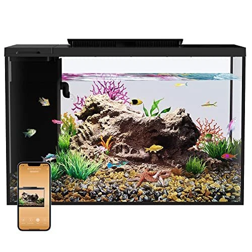 Aquarium kit 5 Gallon Betta Fish Tank self Cleaning, Smart Aquarium That Black