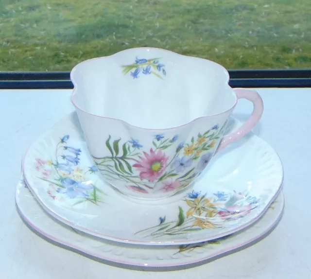 Shelley  Dainty China Wild Flowers 13668 c1950s Trio Cup Saucer Plate Pink Trim