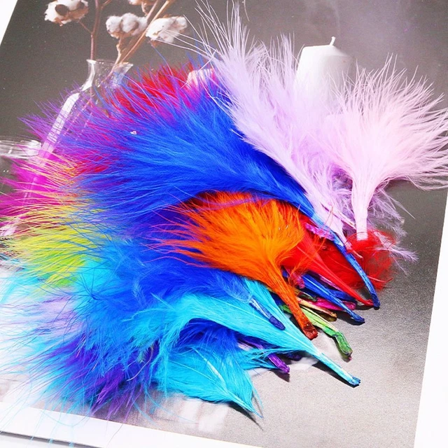 Pendientes Pendientes Ropa Accesorios Plumas de faisán Plumas de pavo Plumas