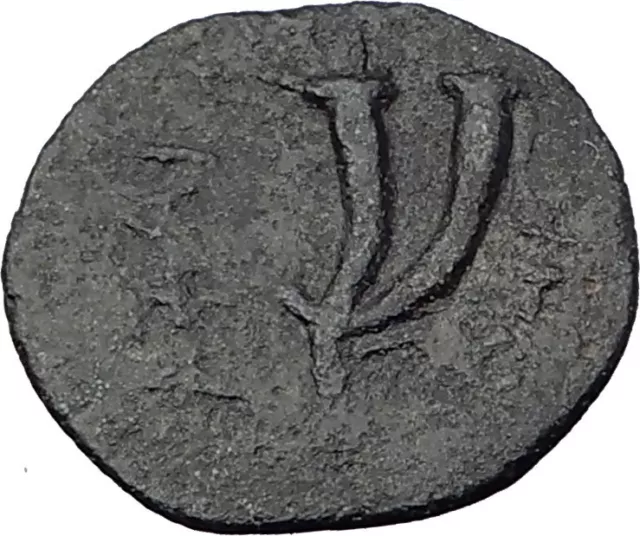 GAZA in JUDEA 2-1CenBC RARE Authentic Ancient Greek Coin ZEUS CORNUCOPIA i64144