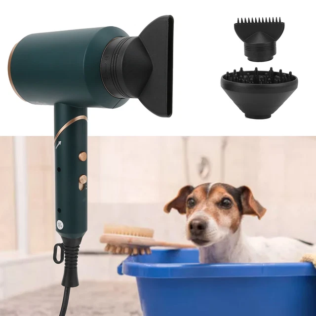 Asciugacapelli per animali domestici soffiatore elettrico portatile per gatti cani conigli H SD