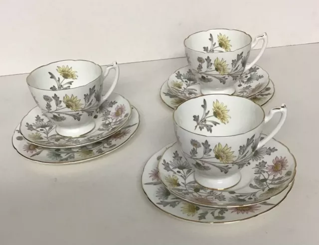 Coalport China Pretty Somerset Pattern Trio (Cup, Saucer, Tea plate)  x 3 (1037)