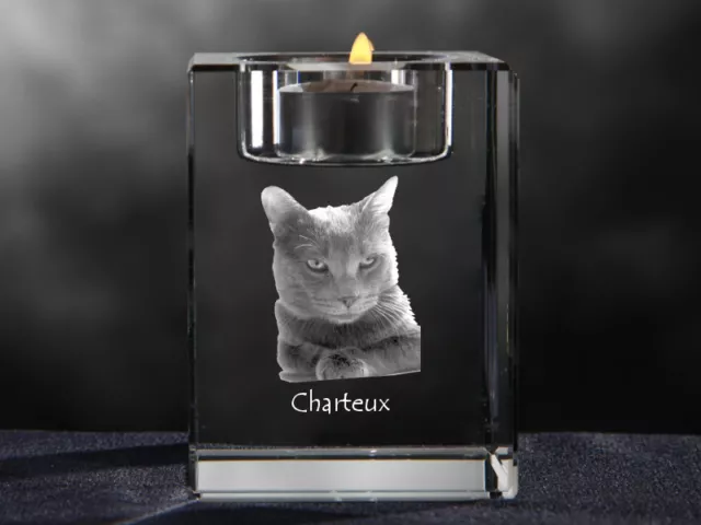 Chartreux, Kristall-Kerzenleuchter Avec Chat, Crystal Animals