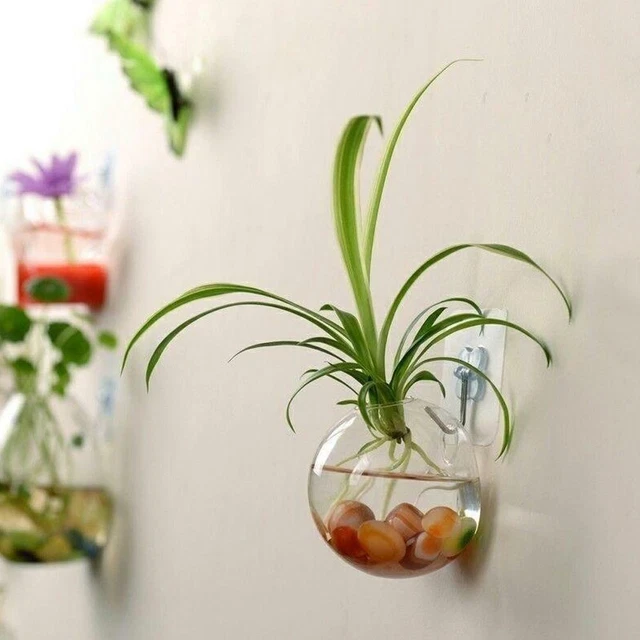 Wall Mounted Fish Tank Bowl Bubble Aquarium Hanging Goldfish Bet hot. U1P7 9