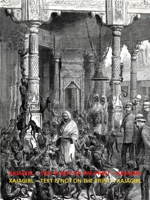 Primate India Varanisi Durga Kund Mandir Monkey Temple Large 1870s Antique Print