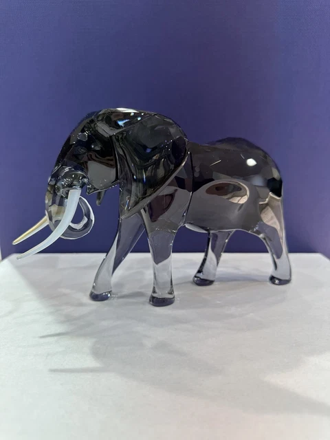 Elegance of Africa Elephant Bull